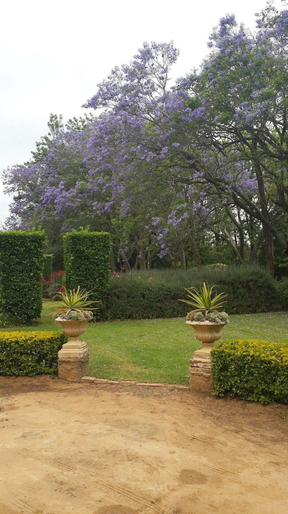 Hopefield Country House Addo Exterior photo